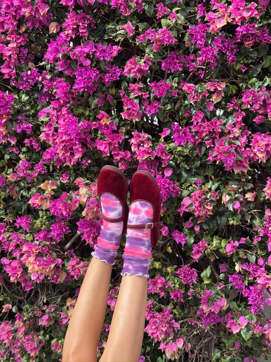 Bougainvillea